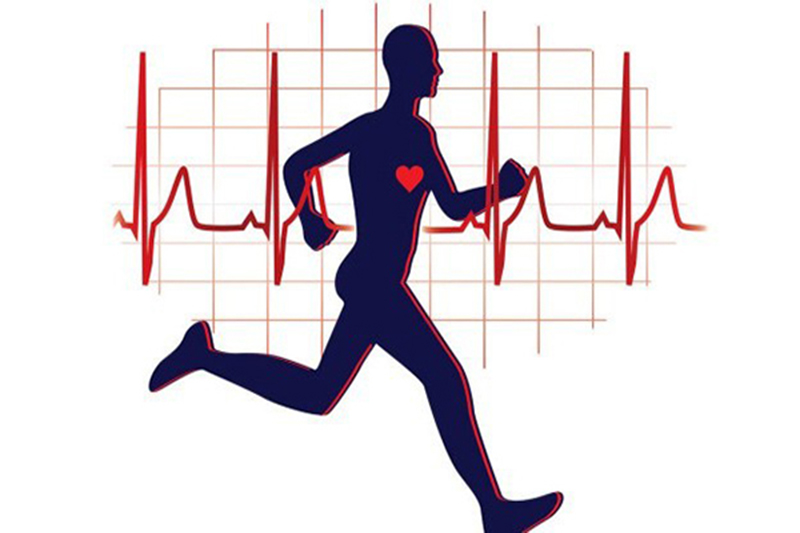 chạy bộ tốt cho sức khỏe tim mạch